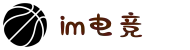 IM(股份有限公司)电竞-电子竞技平台